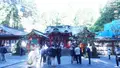 箱根神社の写真_102254