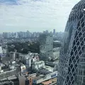 SOMPO美術館（旧：東郷青児記念 損保ジャパン日本興亜美術館）の写真_102264