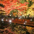 曽木公園の写真_102313
