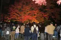 曽木公園の写真_102317