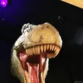 海洋堂フィギュアミュージアム黒壁の写真_102333