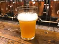 木内酒造の写真_102380