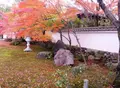 栗棘庵の写真_102418