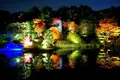 目白庭園の写真_102489