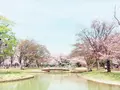 代々木公園の写真_102711