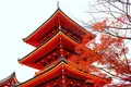 清水寺の写真_102783