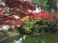 真如堂（真正極楽寺）の写真_102832