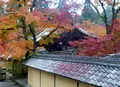 西明寺の写真_102855
