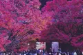 水路閣の写真_102871