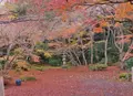 石山寺の写真_102896