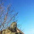 阿蘇フォークスクールの写真_103004