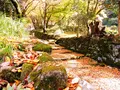 百済寺の写真_103132