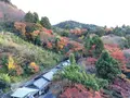 清水寺の写真_103273