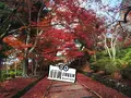 毘沙門堂の写真_103296