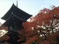 真如堂（真正極楽寺）の写真_103299