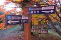 鶏足寺紅葉散策路の写真_103312