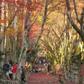 鶏足寺（旧飯福寺）の写真_103314