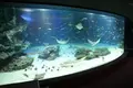 サンシャイン水族館の写真_103358
