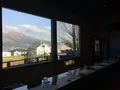 駱駝の写真_103781
