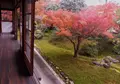 東光寺の写真_104006