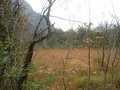 上高地の写真_104192