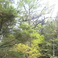 上高地の写真_104193