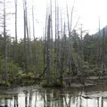 上高地の写真_104196