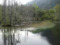 上高地の写真_104197