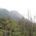 上高地の写真_104199