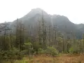 上高地の写真_104201