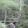 上高地の写真_104205