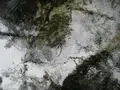 上高地の写真_104207