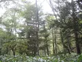 上高地の写真_104210