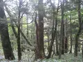 上高地の写真_104217