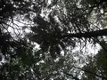 上高地の写真_104218