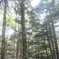 上高地の写真_104220