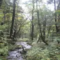 上高地の写真_104225