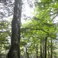 上高地の写真_104231