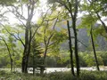 上高地の写真_104232