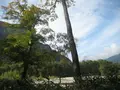 上高地の写真_104245