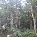 上高地の写真_104256