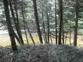 上高地の写真_104258