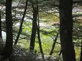 上高地の写真_104259