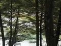 上高地の写真_104260
