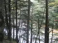 上高地の写真_104261