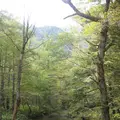 上高地の写真_104268