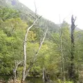 上高地の写真_104269