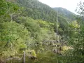 上高地の写真_104270