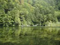 上高地の写真_104286