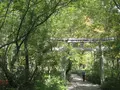上高地の写真_104288